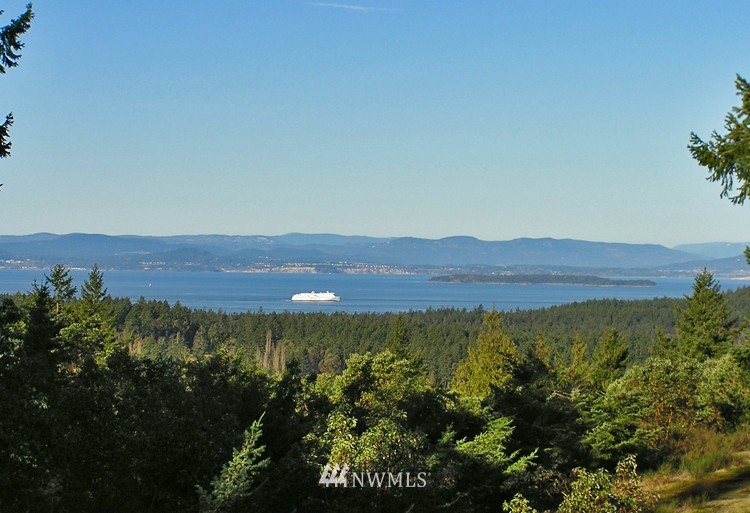 89 Raven Ridge Road San Juan Island, WA 98250 - Photo 1 of 1 Gallery Image 1