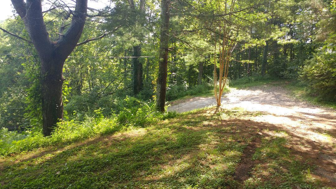 133 Turkey Road Powell, TN 37849 - Photo 13 of 17 9