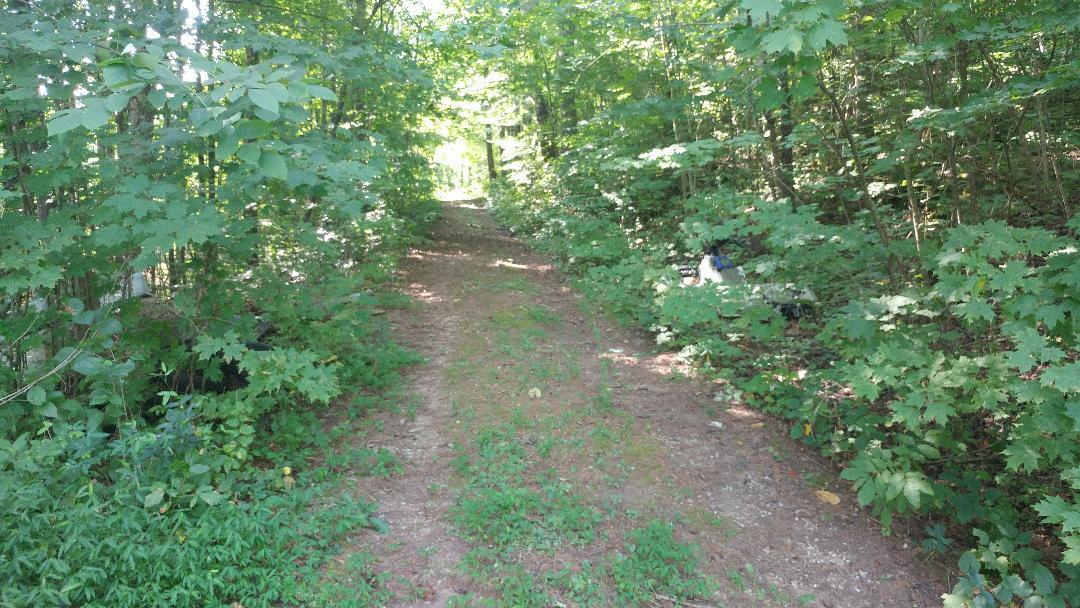 133 Turkey Road Powell, TN 37849 - Photo 14 of 17 16