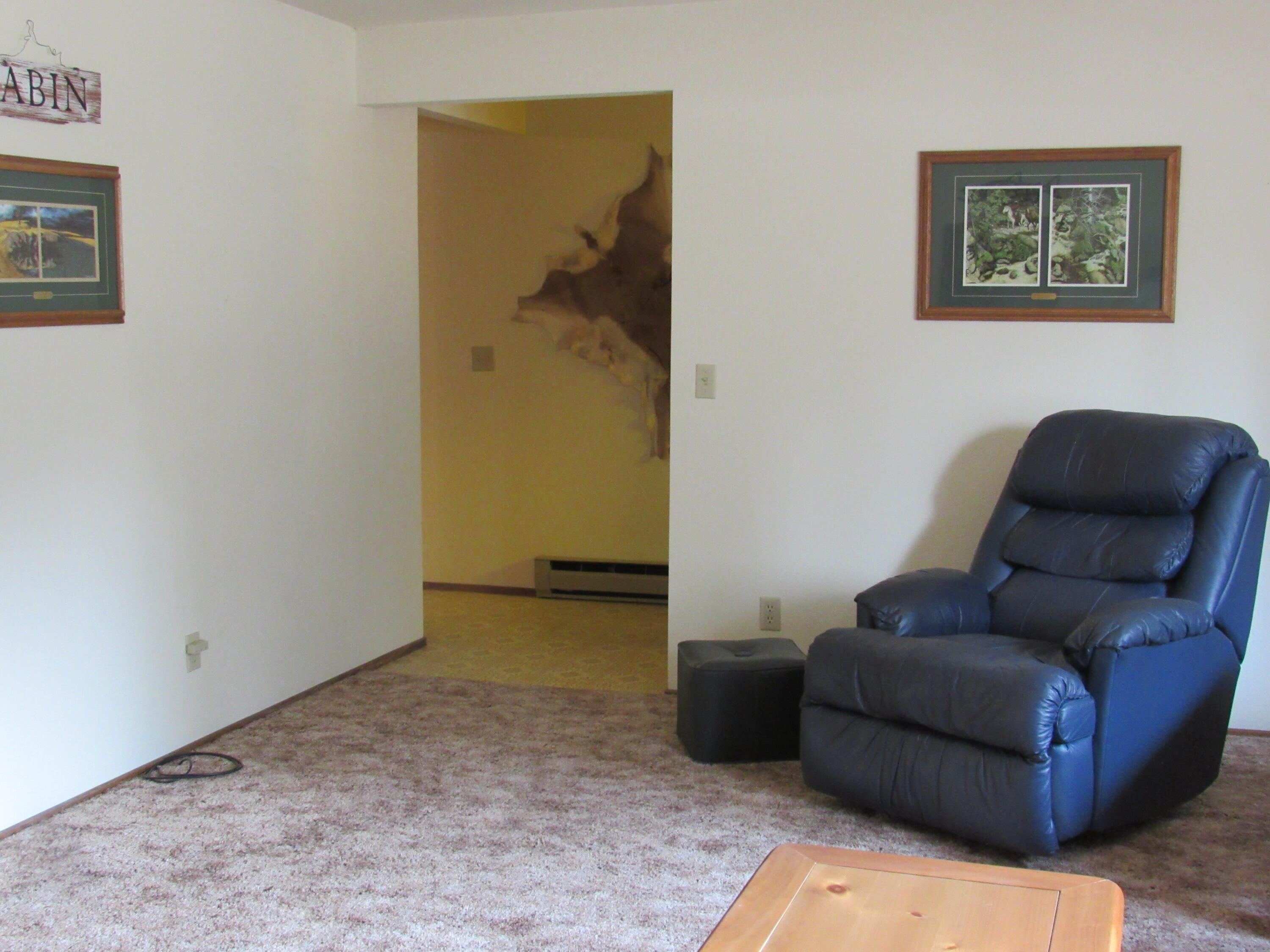 51582 Ash Road La Pine, OR 97739 - Photo 28 of 52 LR 5 Use