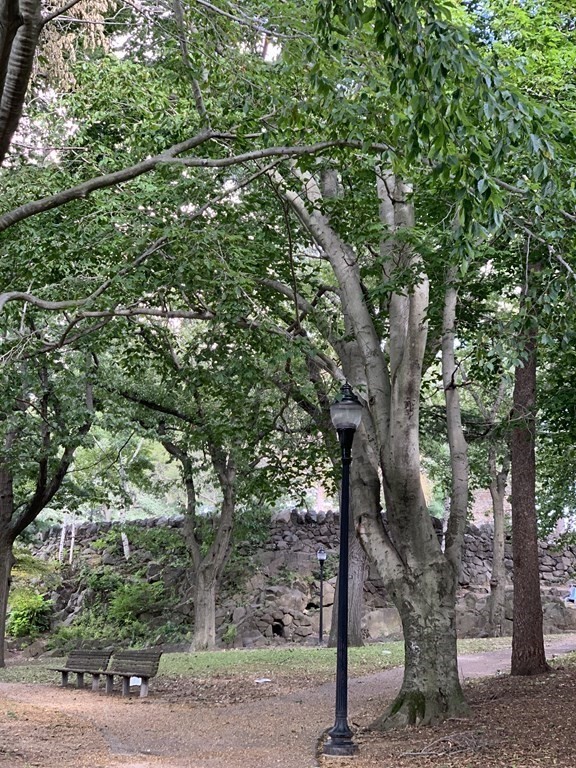 33 Bay State Avenue, Unit 1 Somerville, MA 02144 - Photo 23 of 23