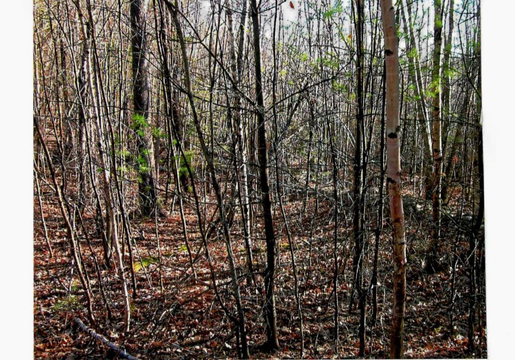 Lot#11 Southwest Proctor Heights Road West Waterford, ME 04088 - Photo 1 of 1 Photo