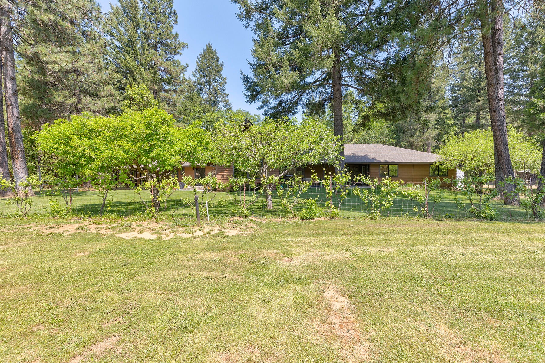 4161 Takilma Road Cave Junction, OR 97523 - Photo 41 of 74 0R1A1176_77_78_79_80