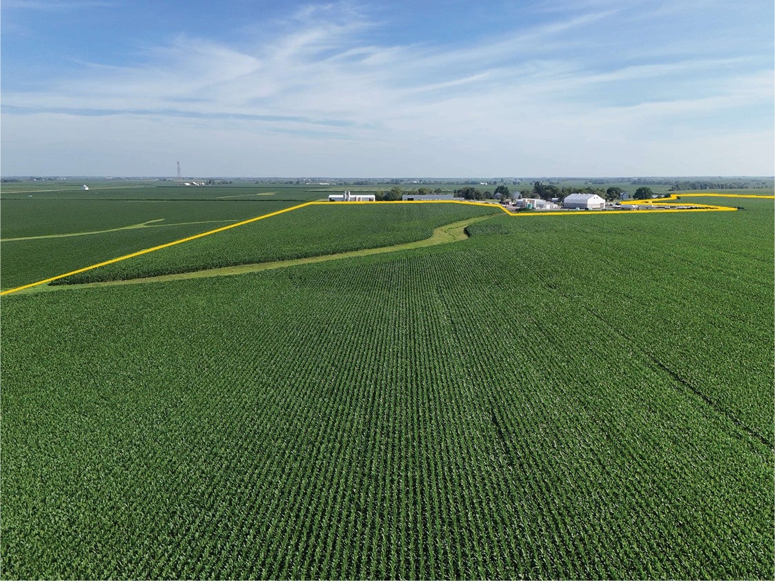 62 Co Road Crawfordsville, IA 52621 - Photo 7 of 10 Gallery Image 7