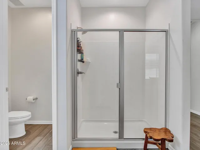 a bathroom with a shower and a toilet