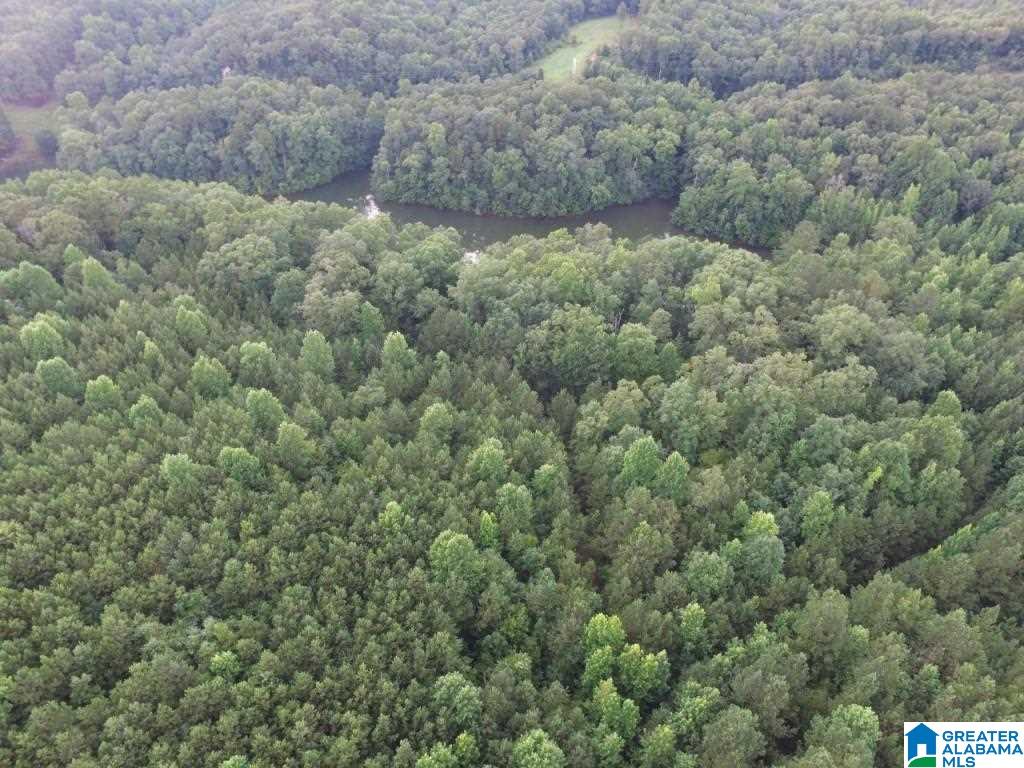 99 County Road, Unit 39 Wedowee, AL 36278 - Photo 8 of 11