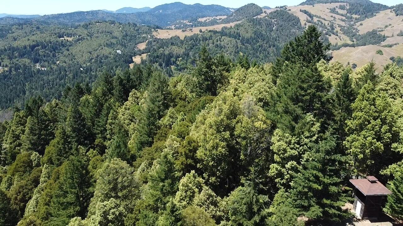 4751 Blue Slide Creek Road Garberville, CA 95542 - Photo 19 of 27
