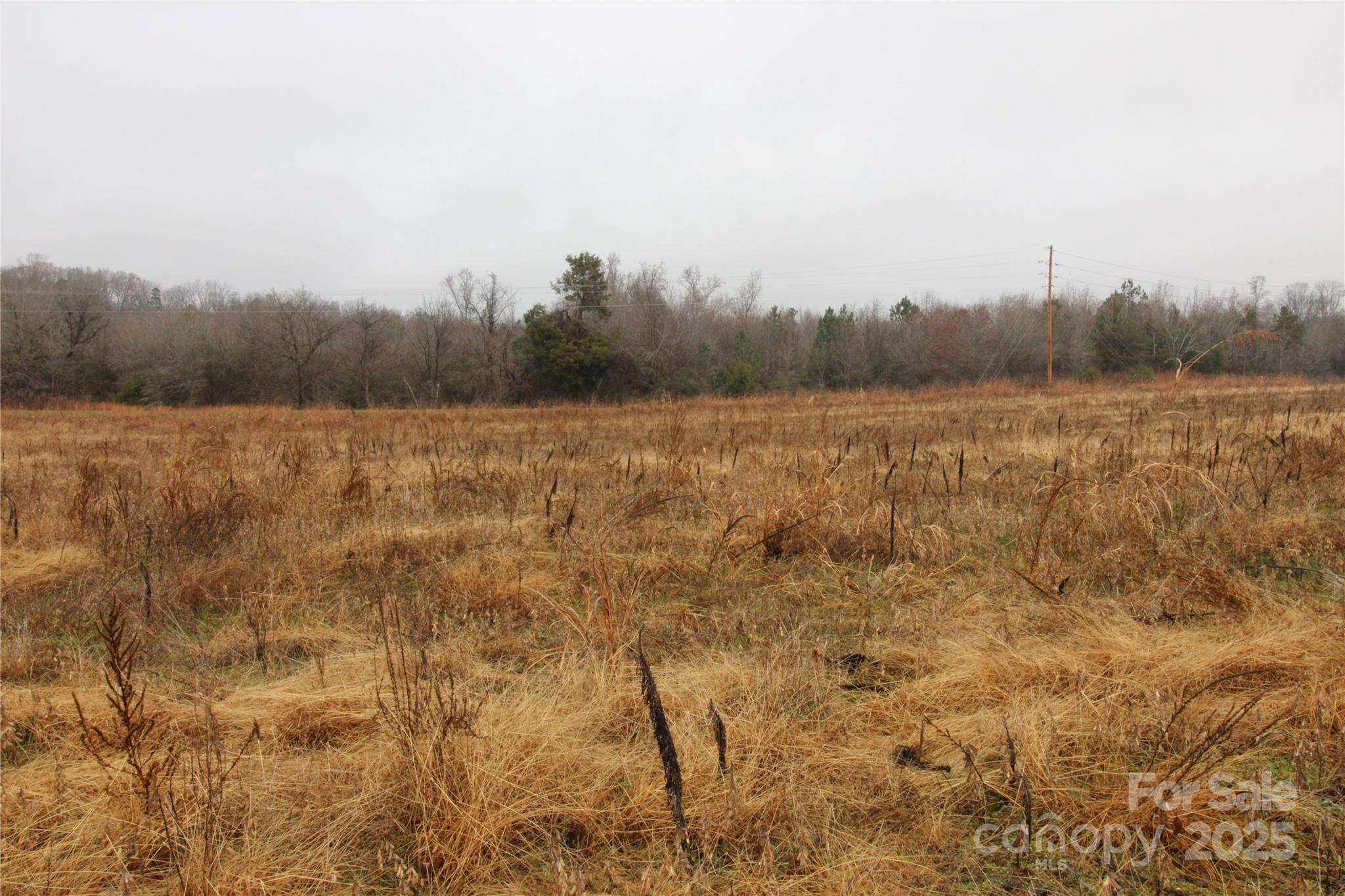 Lot F Lot F 3-ac Eaker Road Kings Mountain, NC 28086 - Photo 3 of 5