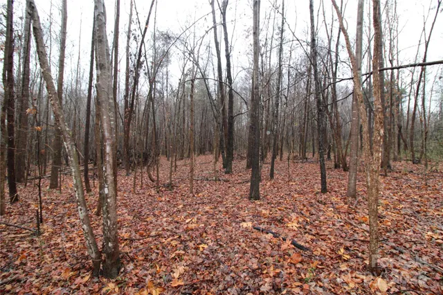 $60,000 | Lot F Lot F 3-ac Eaker Road, Kings Mountain, NC 28086