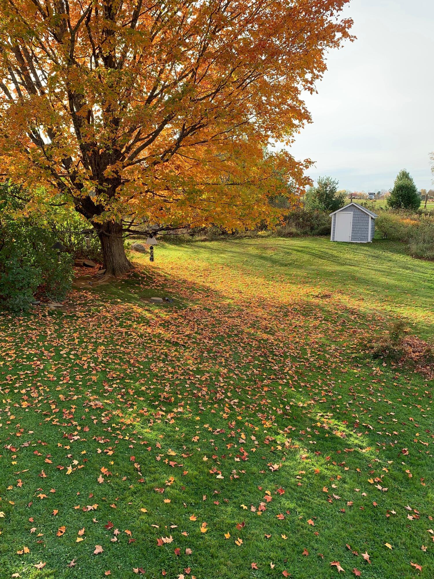 1261 Dexter Road Dover Foxcroft, ME 04426 - Photo 55 of 68 IMG_0384