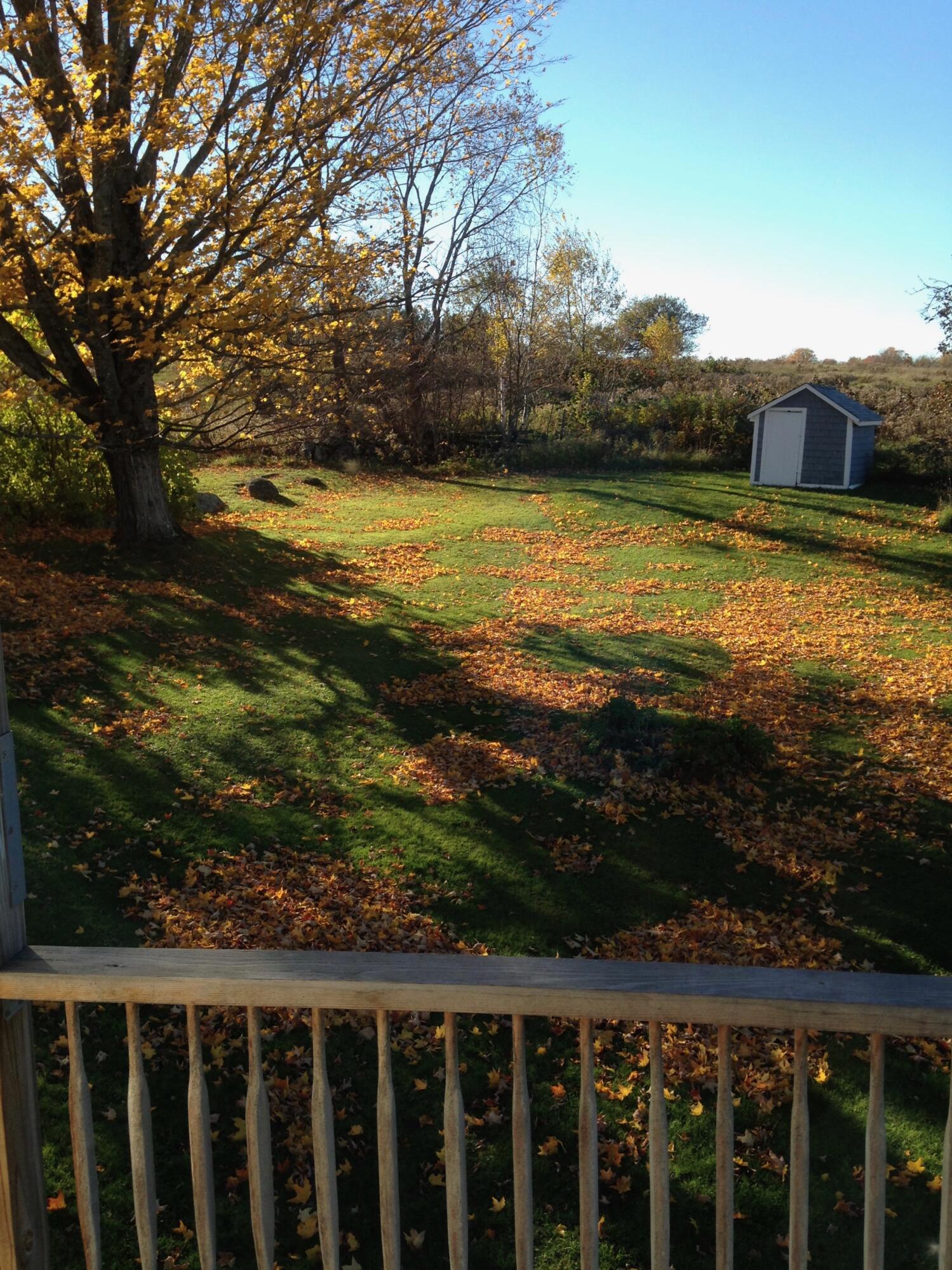 1261 Dexter Road Dover Foxcroft, ME 04426 - Photo 56 of 68 IMG_0953