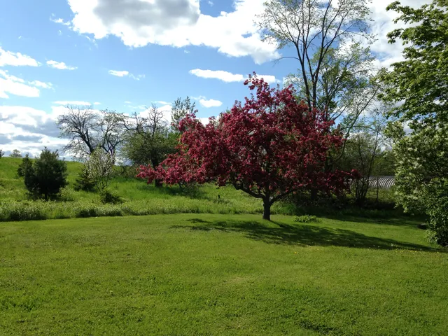 $359,000 | 1261 Dexter Road, Dover Foxcroft, ME 04426