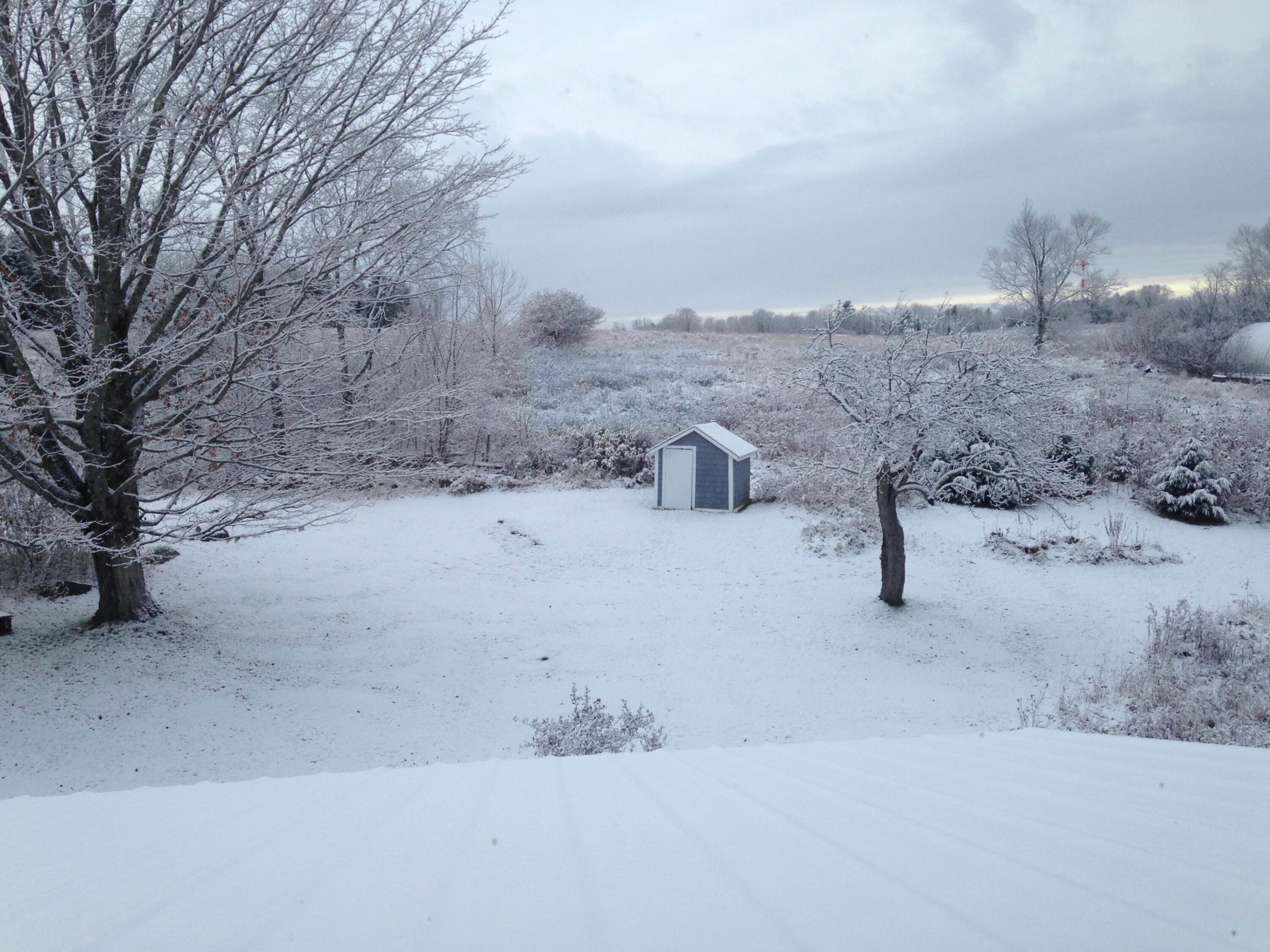 1261 Dexter Road Dover Foxcroft, ME 04426 - Photo 68 of 68 IMG_0464