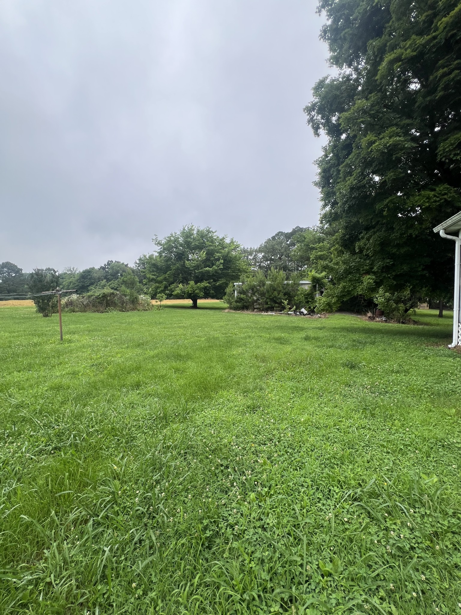 732 Fowler Ford Road Portland, TN 37148 - Photo 3 of 6