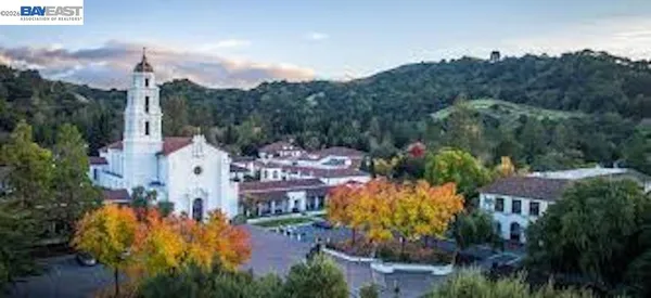 a view of a park with plants and trees