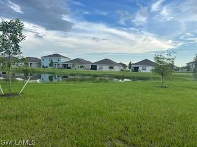 a view of a big yard with potted plants and large tree