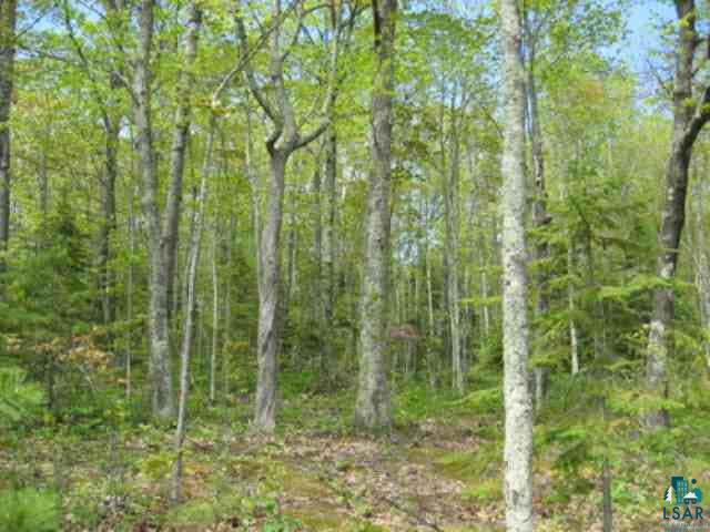 Xxx Hesse Road Herbster, WI 54844 - Photo 2 of 3 Gallery Image 2