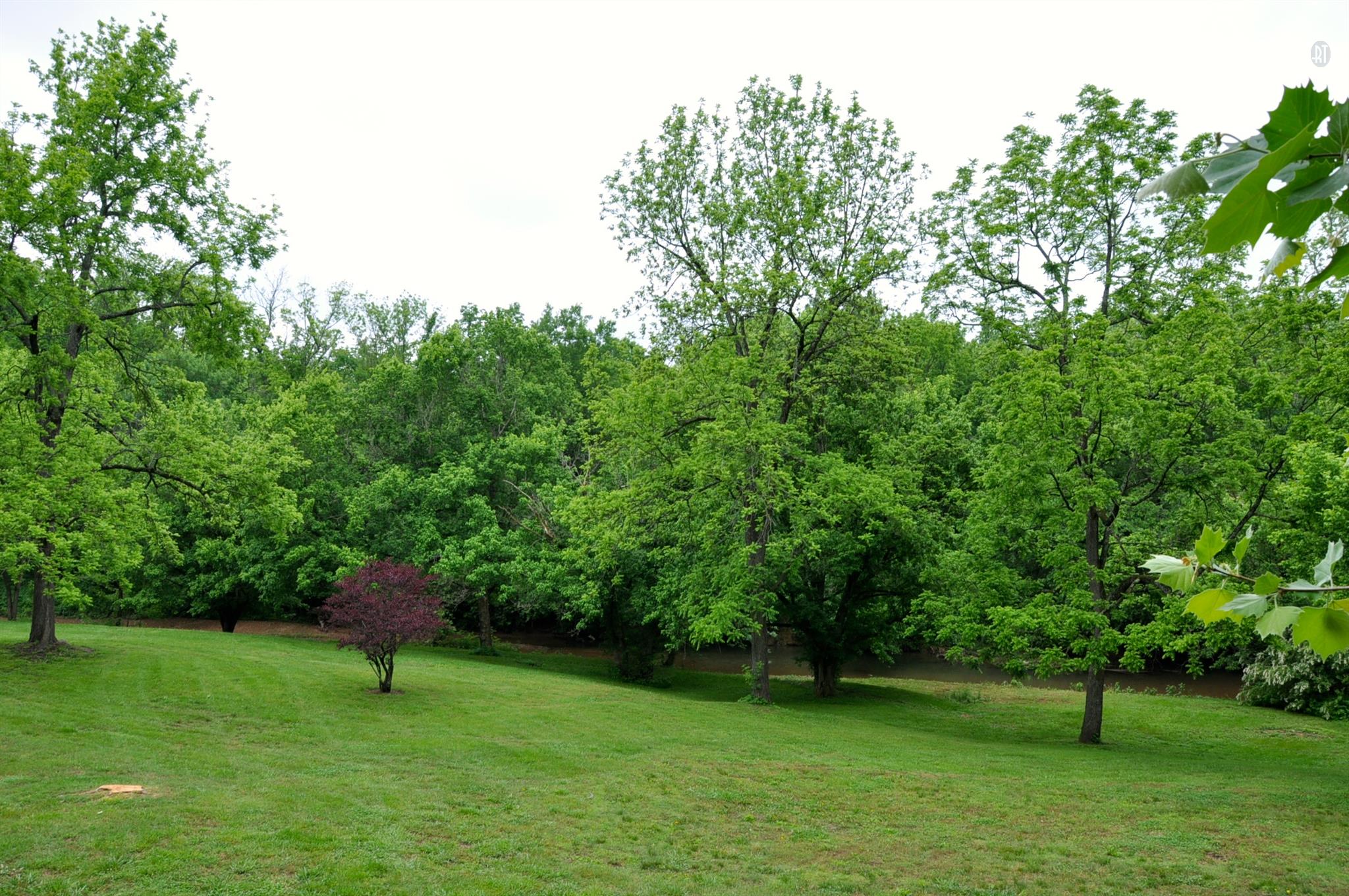 8013 Mill Road Cross Plains, TN 37049 - Photo 24 of 26 a green field with lots of trees