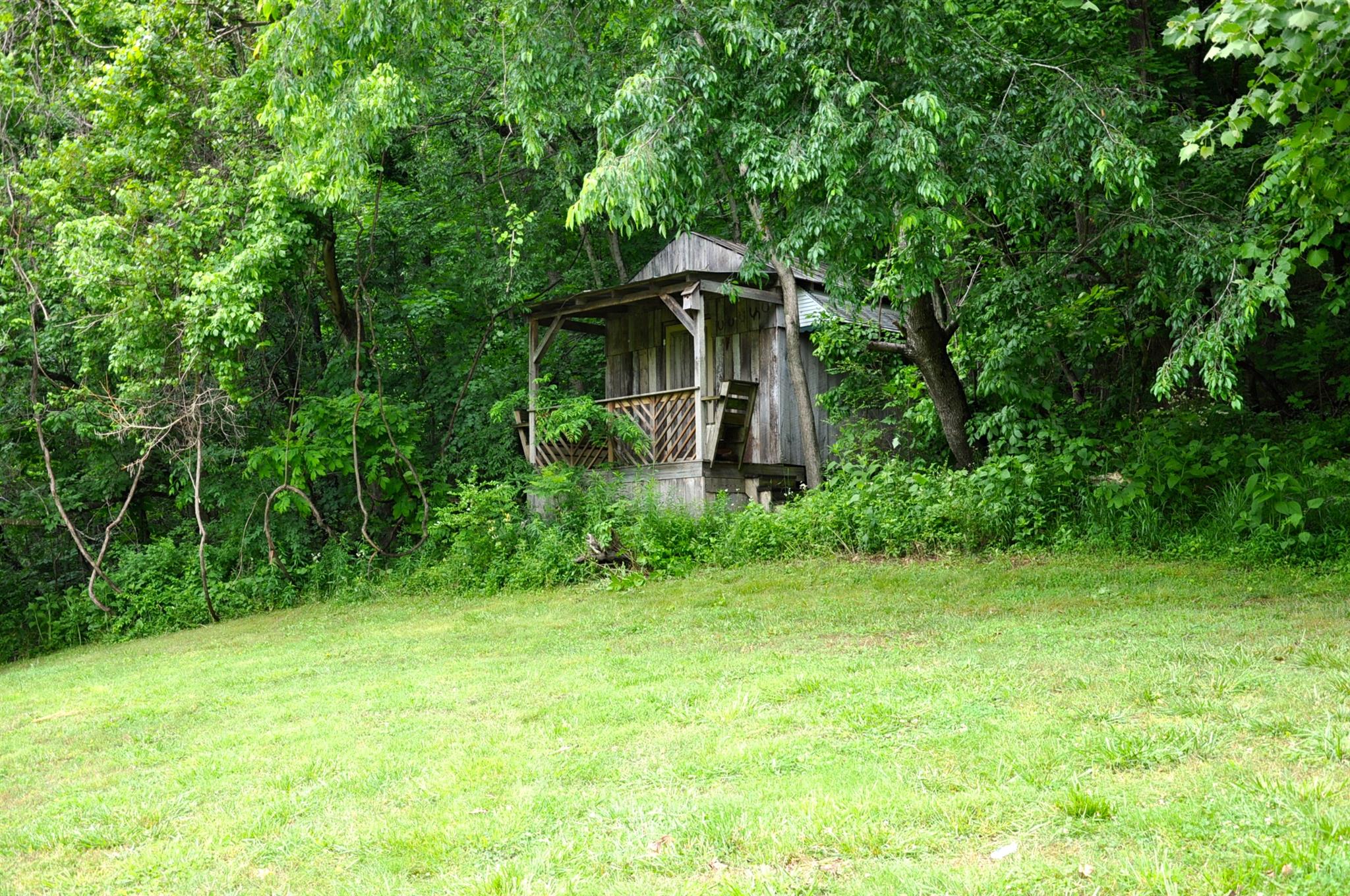 8013 Mill Road Cross Plains, TN 37049 - Photo 25 of 26 a backyard of a house with plants and tree