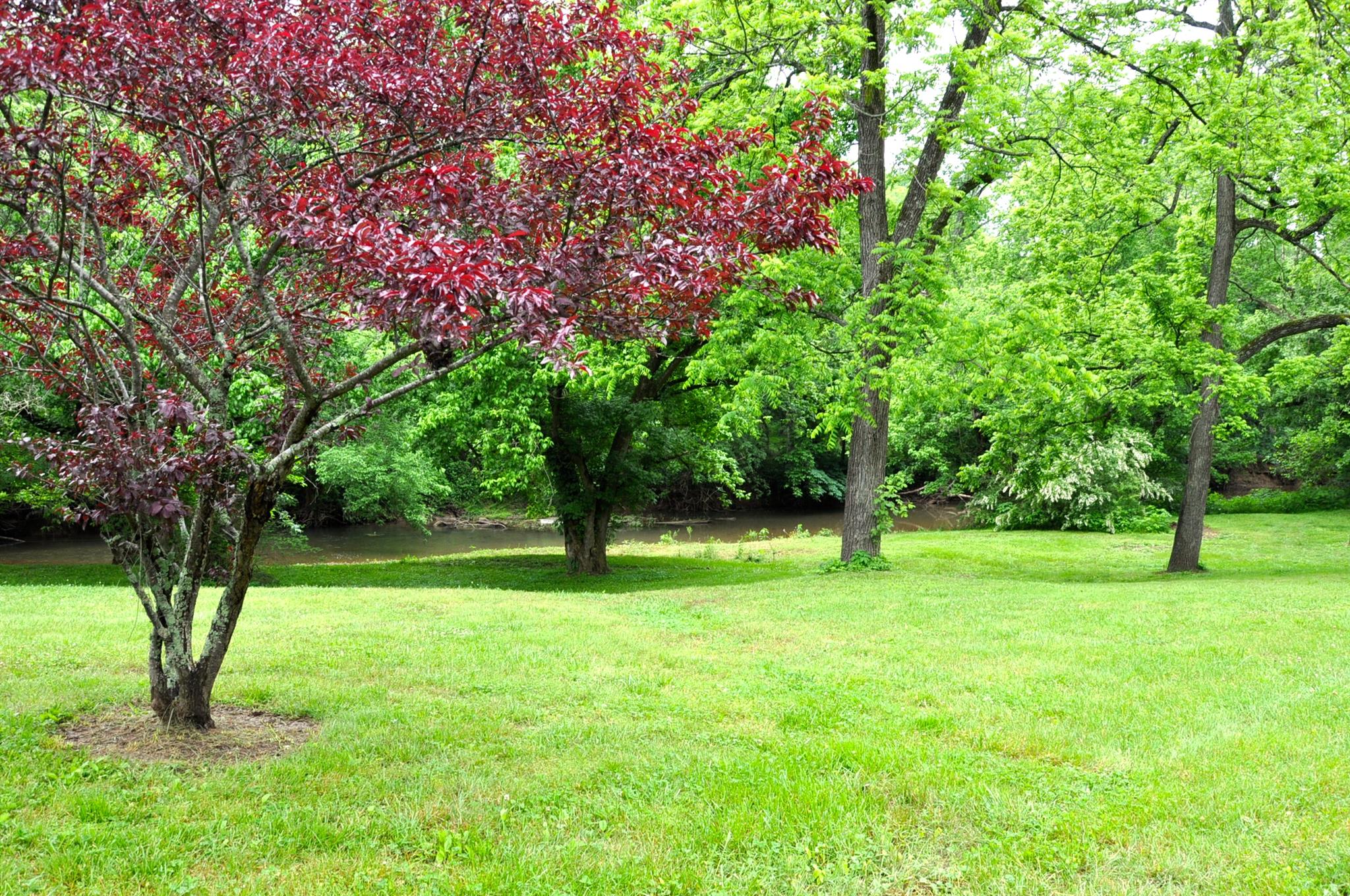 8013 Mill Road Cross Plains, TN 37049 - Photo 6 of 26 a green field with lots of trees