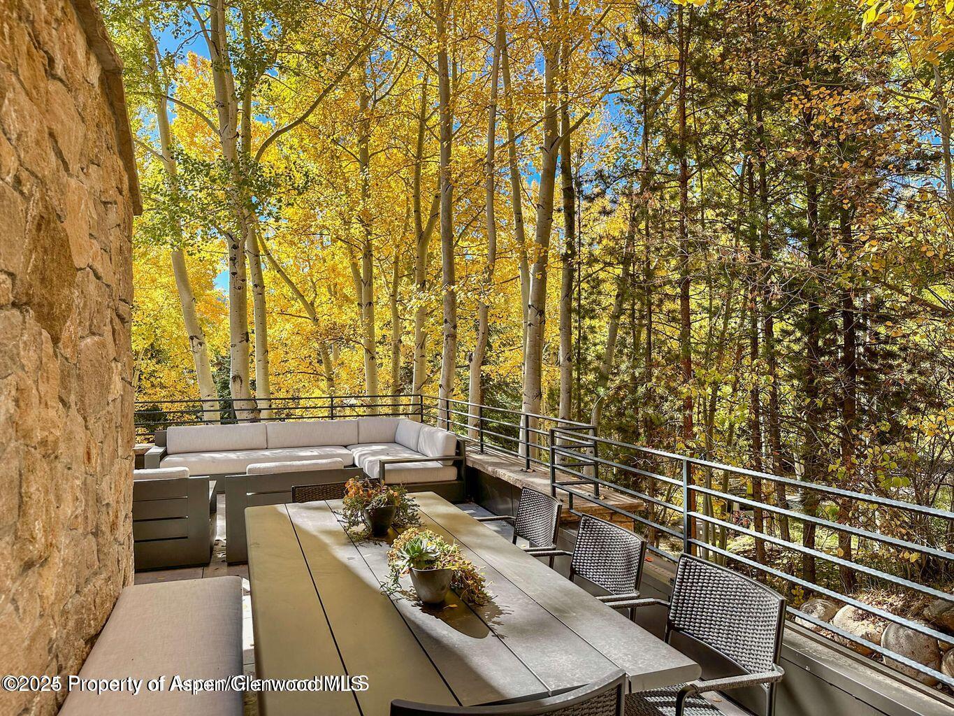 1540 Silver King Drive Aspen, CO 81611 - Photo 12 of 32 a view of a patio with table and chairs and potted plants