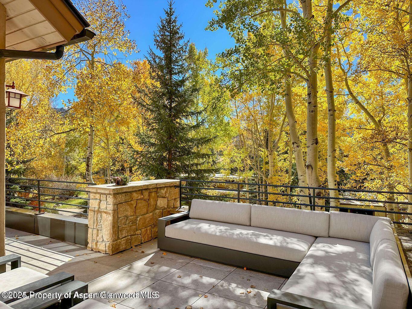 1540 Silver King Drive Aspen, CO 81611 - Photo 13 of 32 a view of a couch in the backyard of a house