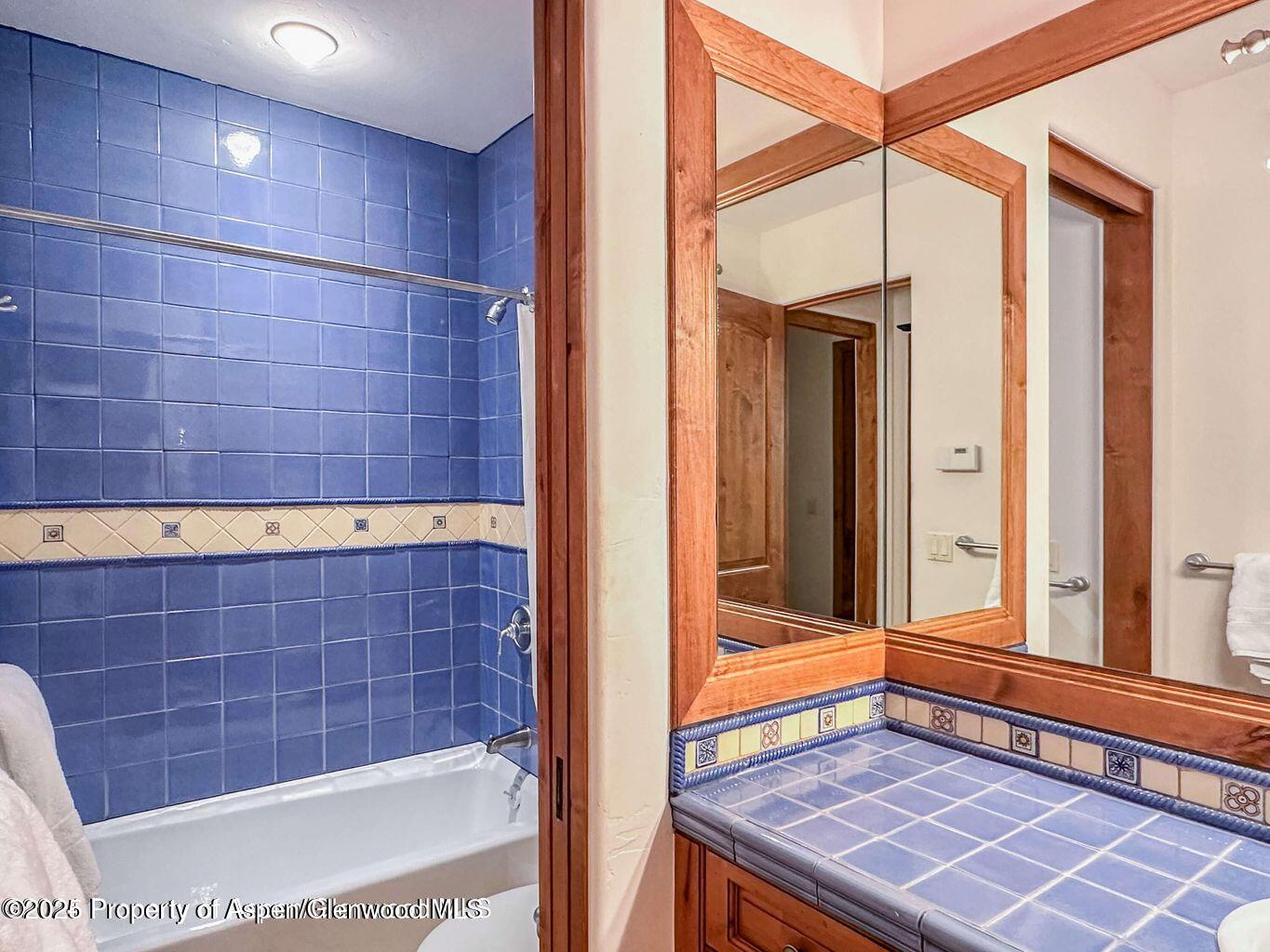 1540 Silver King Drive Aspen, CO 81611 - Photo 22 of 32 a bathroom with a bathtub and a shower