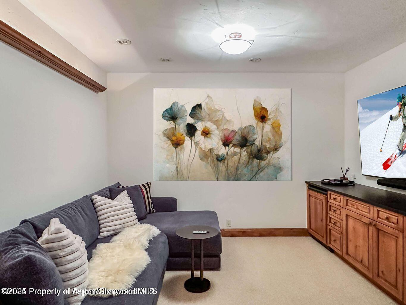 1540 Silver King Drive Aspen, CO 81611 - Photo 26 of 32