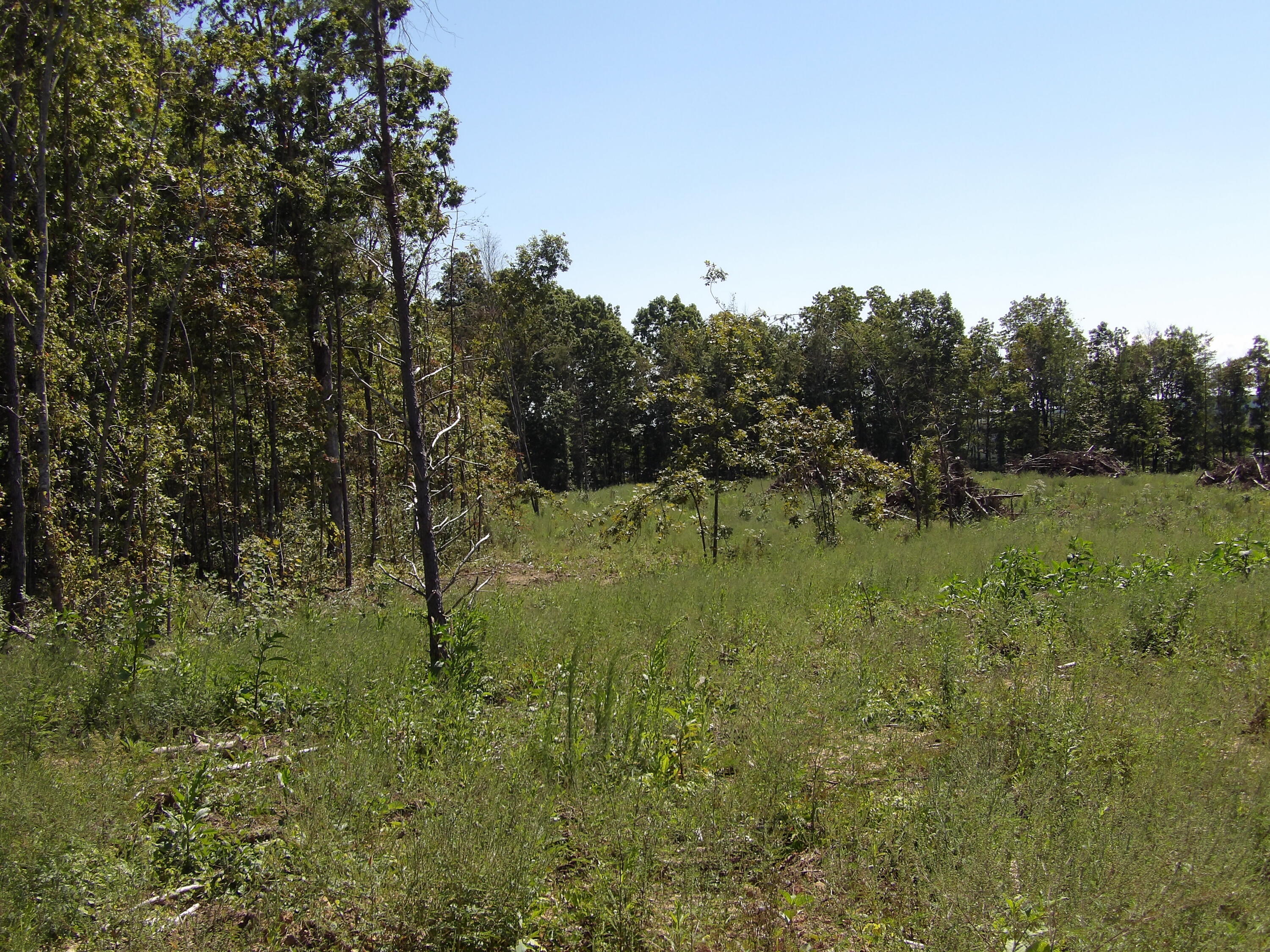 100 Summer City Road Evensville, TN 37332 - Photo 11 of 33 100_1935