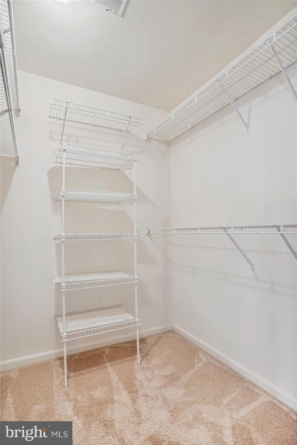 8427 Carmela Circle Springfield, VA 22153 - Photo 48 of 48 Walk In Closet