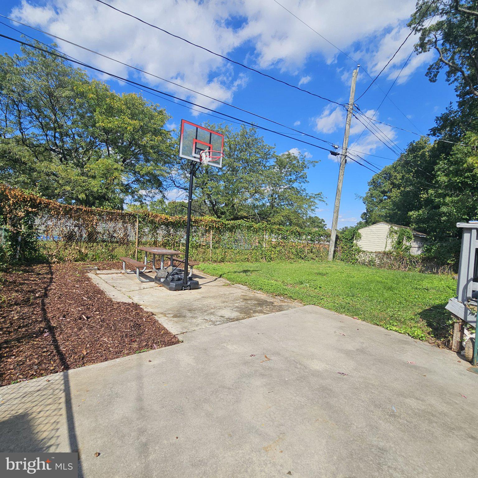1714 Langley Road Baltimore, MD 21221 - Photo 4 of 6 Backyard with driveway