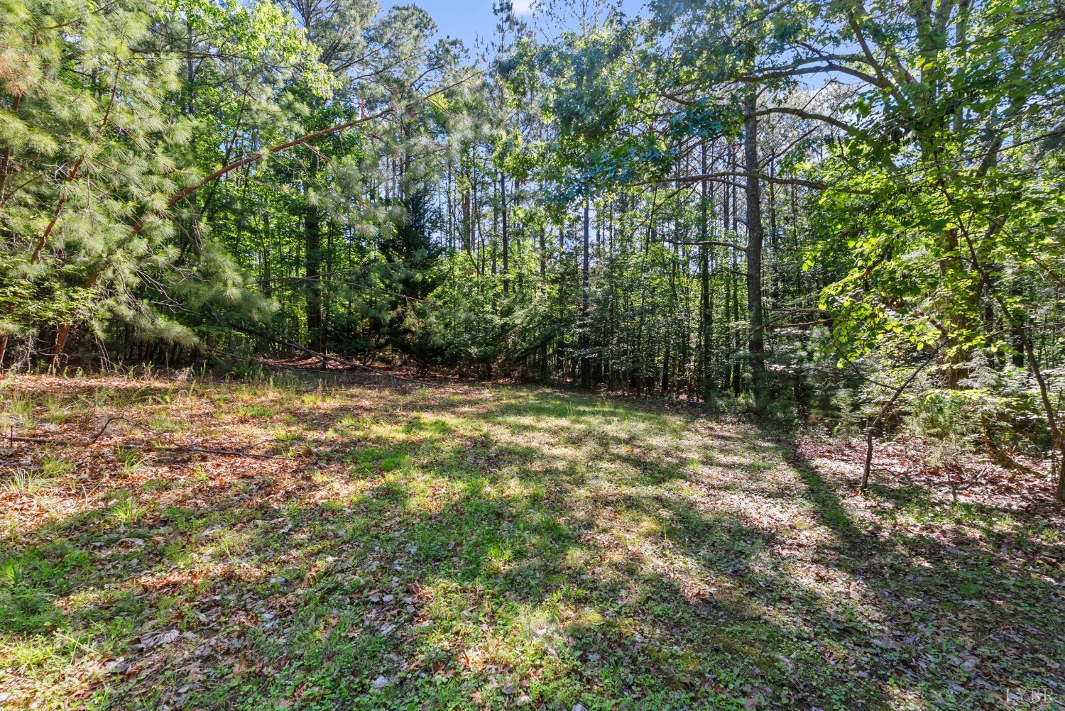 675 Pacoman Road Evington, VA 24550 - Photo 50 of 57