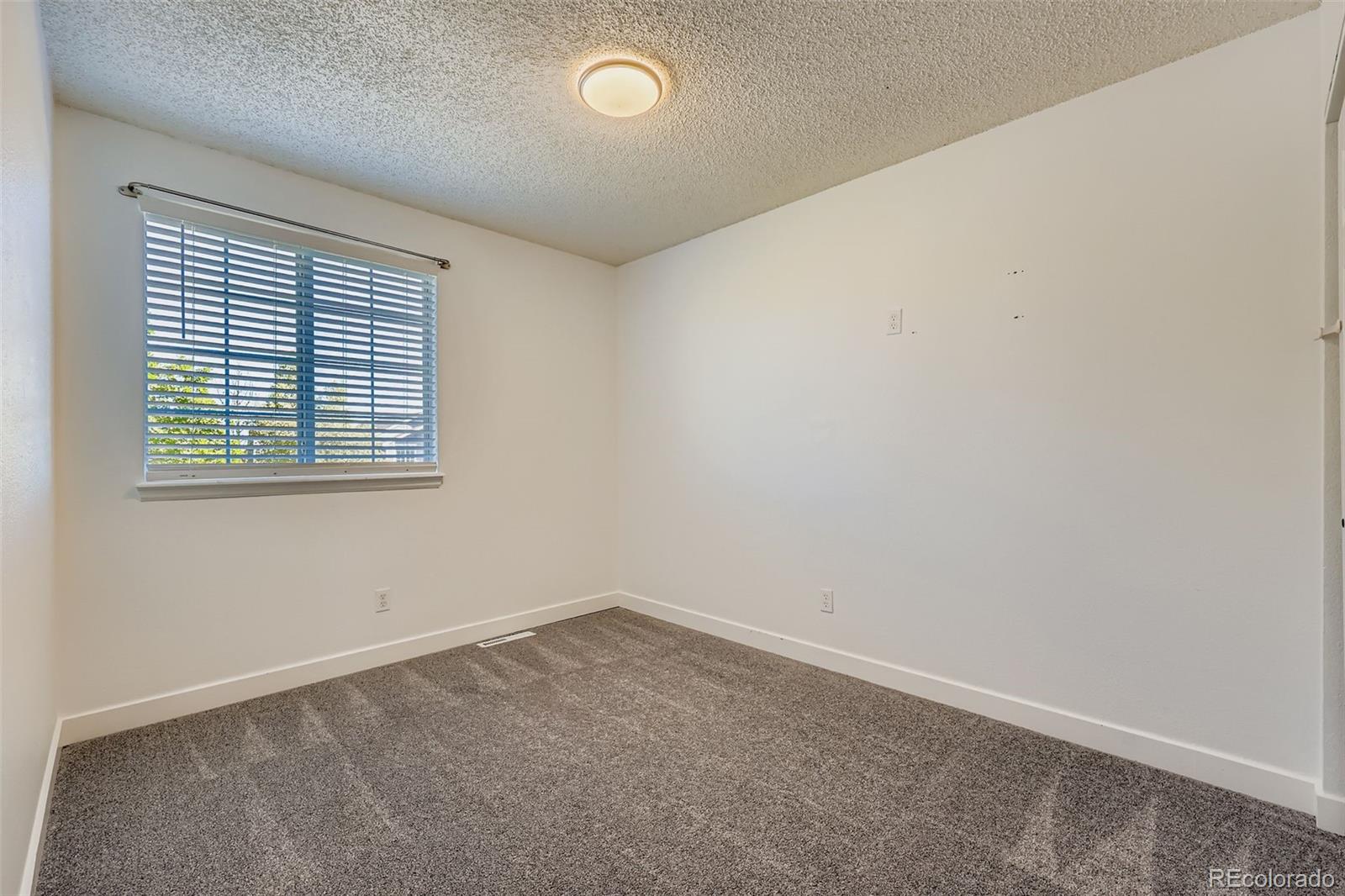 5326 East Howe Street Castle Rock, CO 80104 - Photo 20 of 28