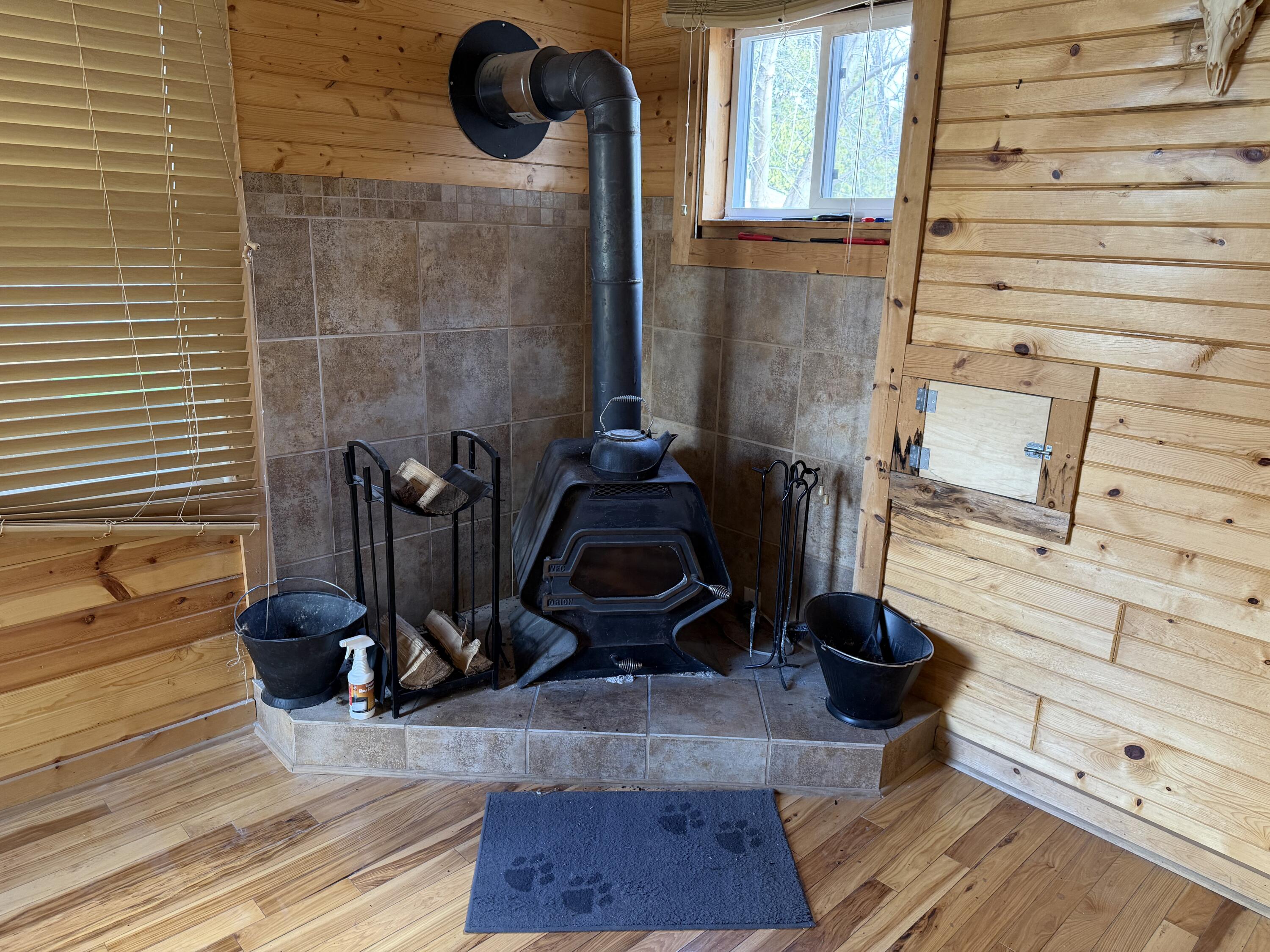 615 South Spring Street Beaver Dam, WI 53916 - Photo 11 of 30 Fireplace