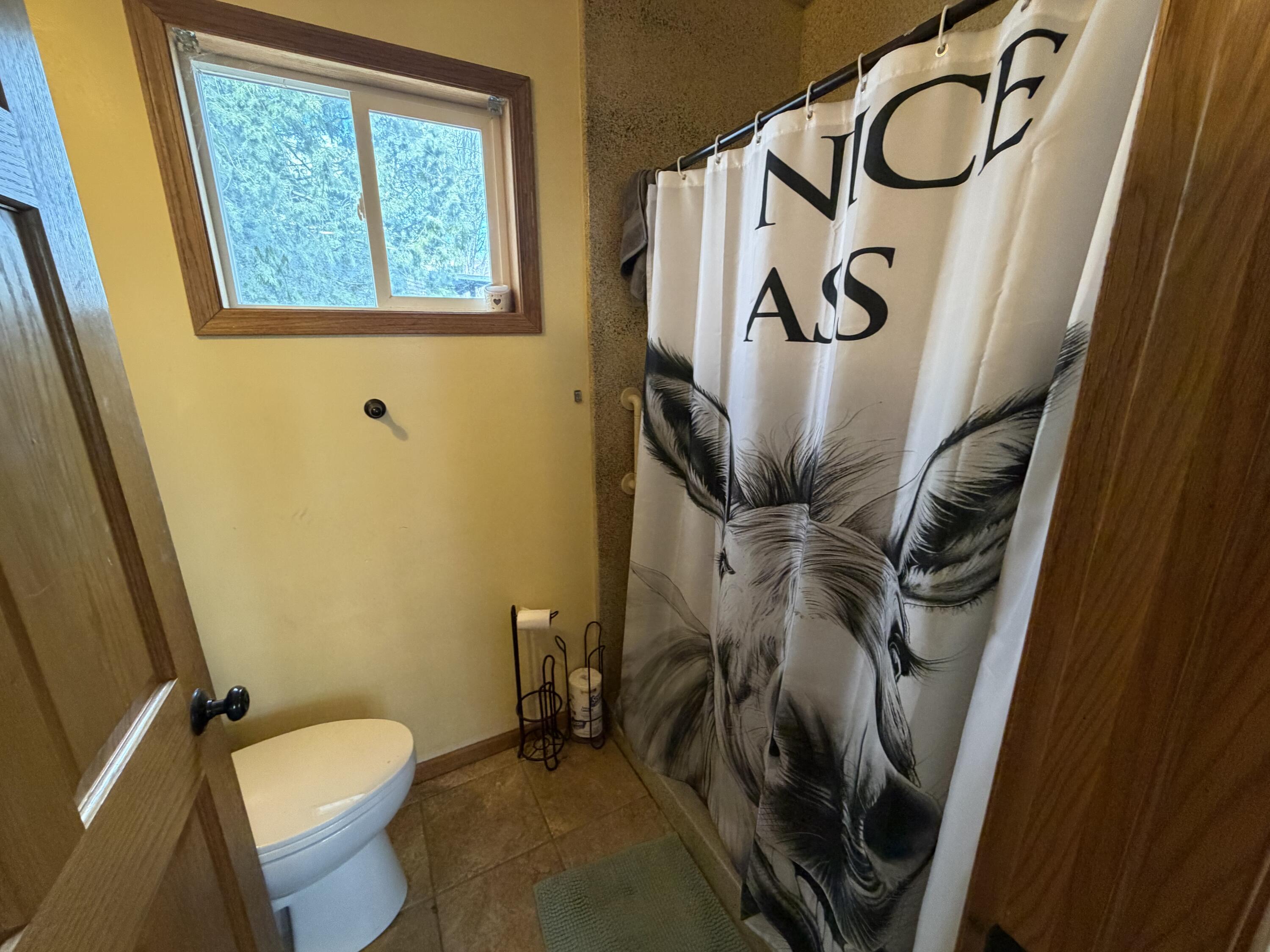 615 South Spring Street Beaver Dam, WI 53916 - Photo 8 of 30 Main floor bath