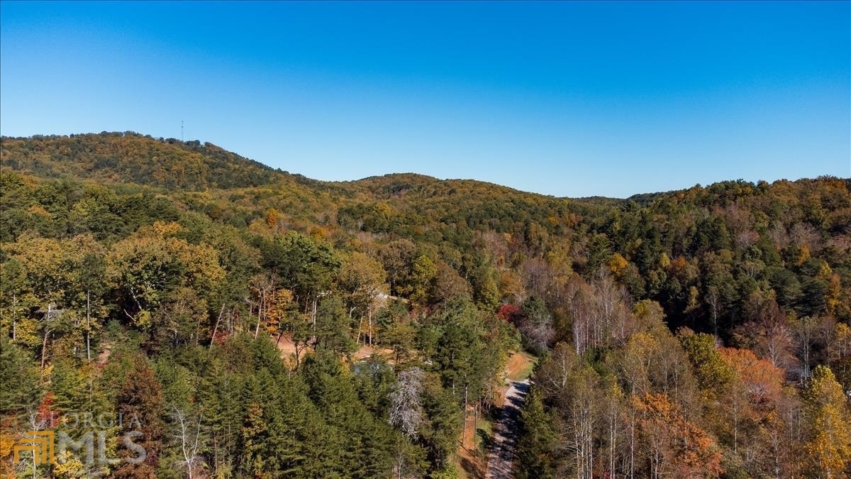 0 Wendy Hill Road Ellijay, GA 30536 - Photo 1 of 1 Gallery Image 1