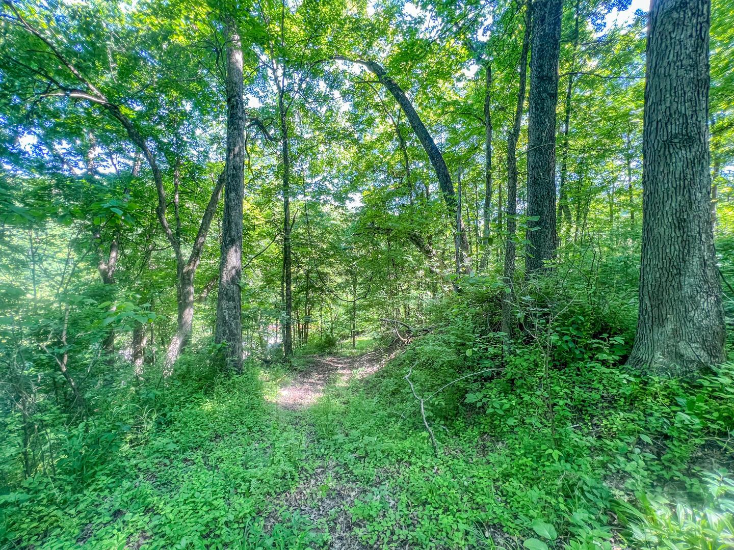 0 Rush Run Road Rayland, OH 43943 - Photo 15 of 24