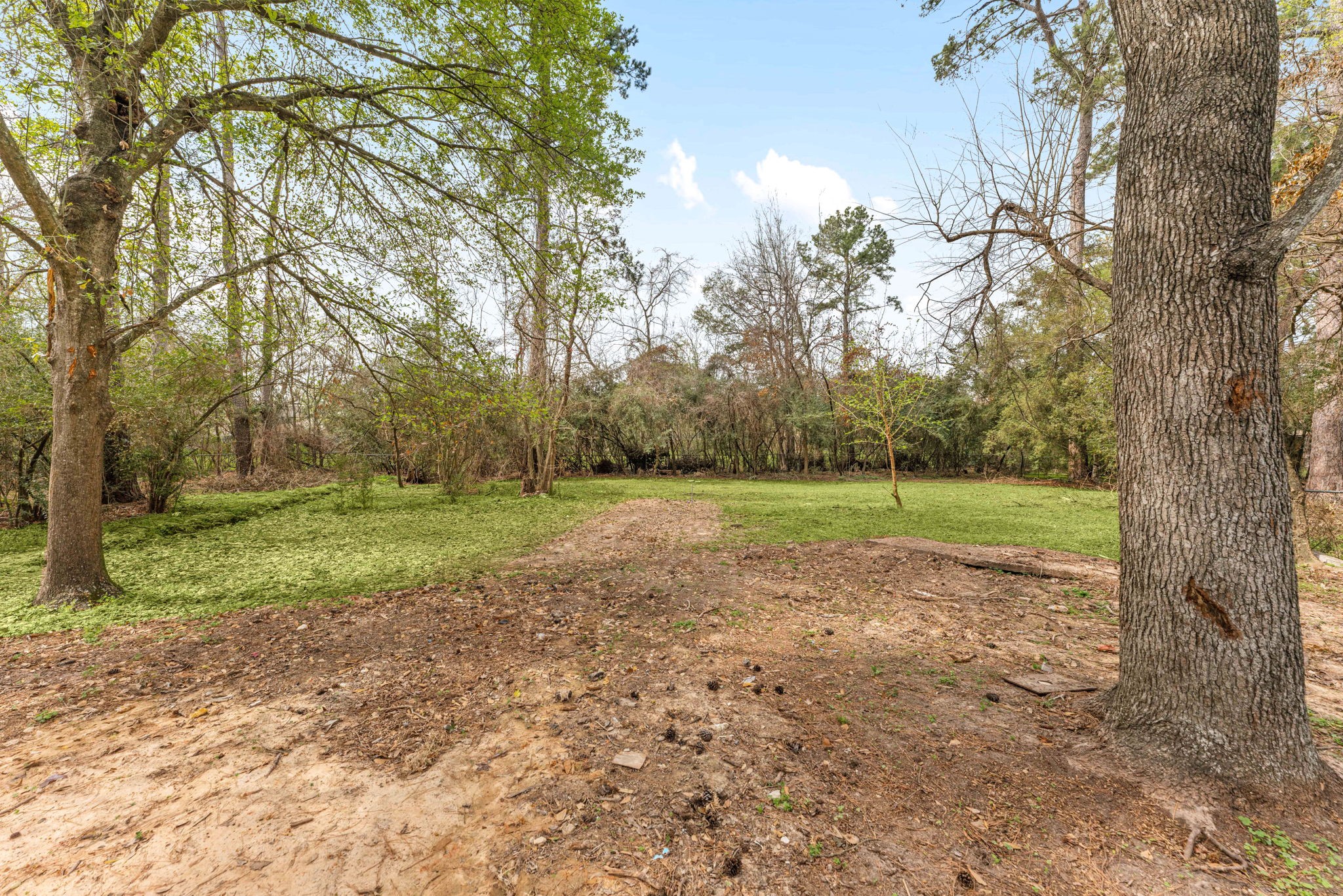 21315 Greengate Drive Spring, TX 77388 - Photo 36 of 40