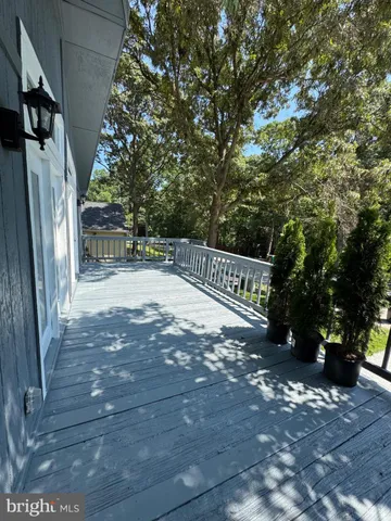 a view of a pathway with a tree