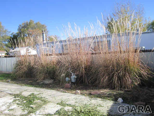 412 1/2 30 1/2 Road Grand Junction, CO 81504 - Photo 4 of 9 Gallery Image 4