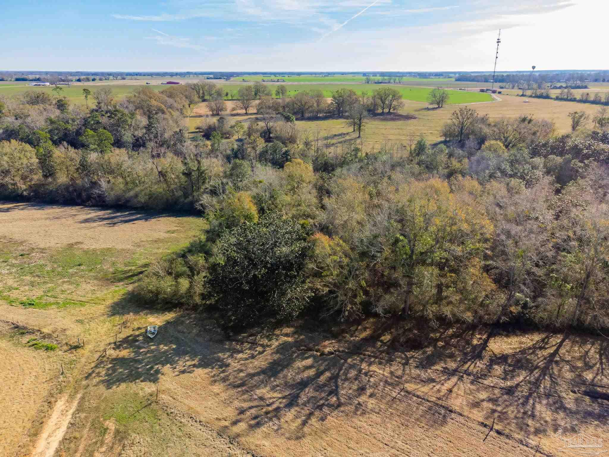 Lot 13 Hazel Godwin Road Jay, FL 32565 - Photo 2 of 12