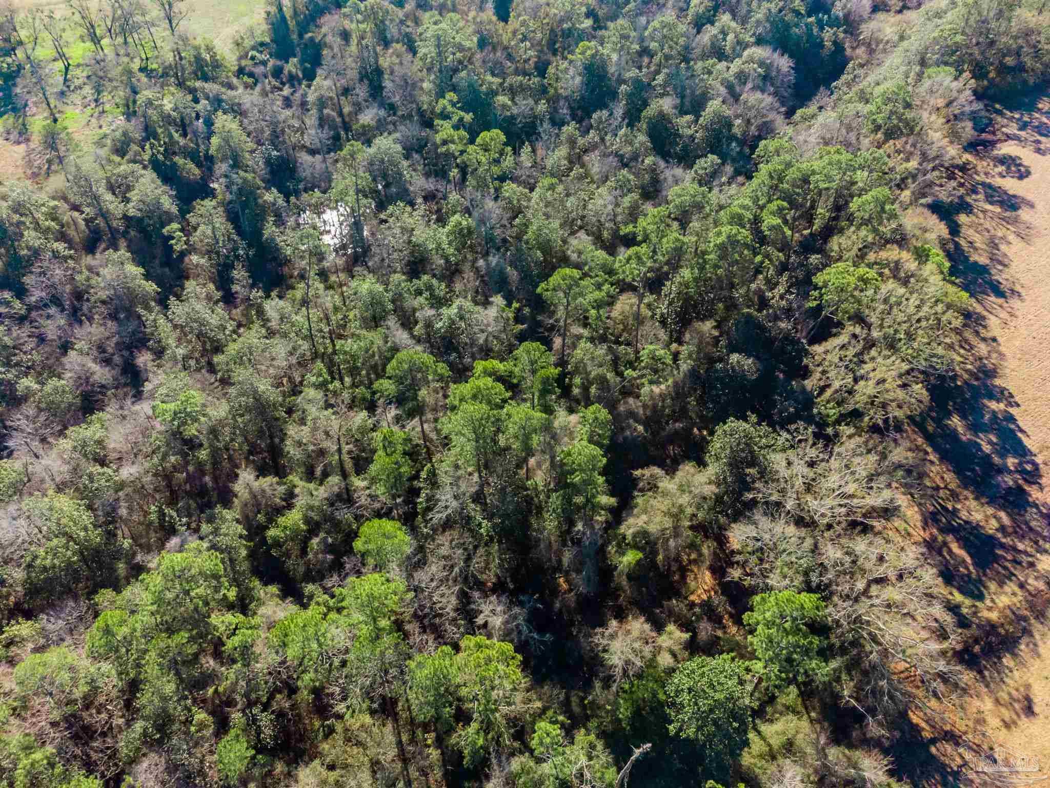 Lot 13 Hazel Godwin Road Jay, FL 32565 - Photo 7 of 12