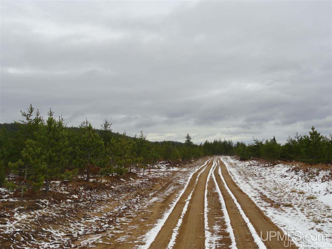 80-acres 80-acres Co Road Negaunee, MI 49866 - Photo 24 of 45