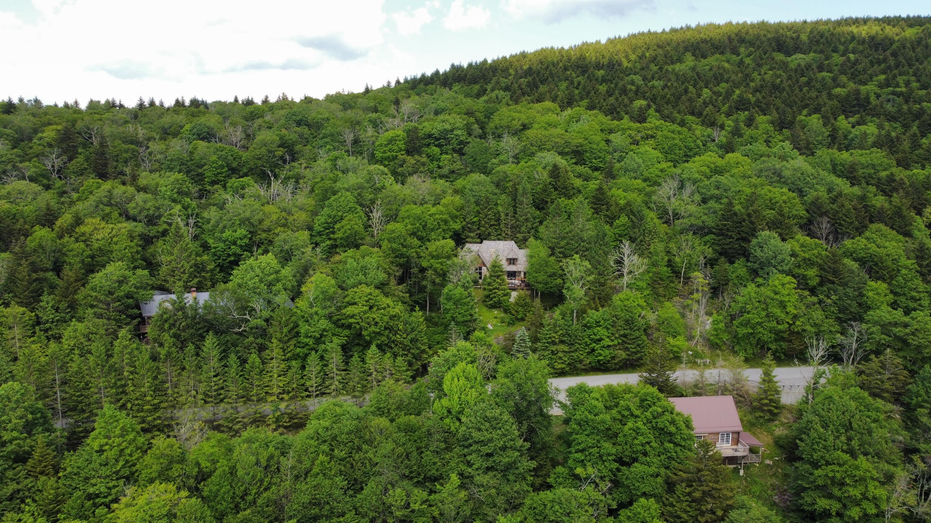 321 North Westridge Road Slatyfork, WV 26291 - Photo 100 of 100 Gallery Image 100