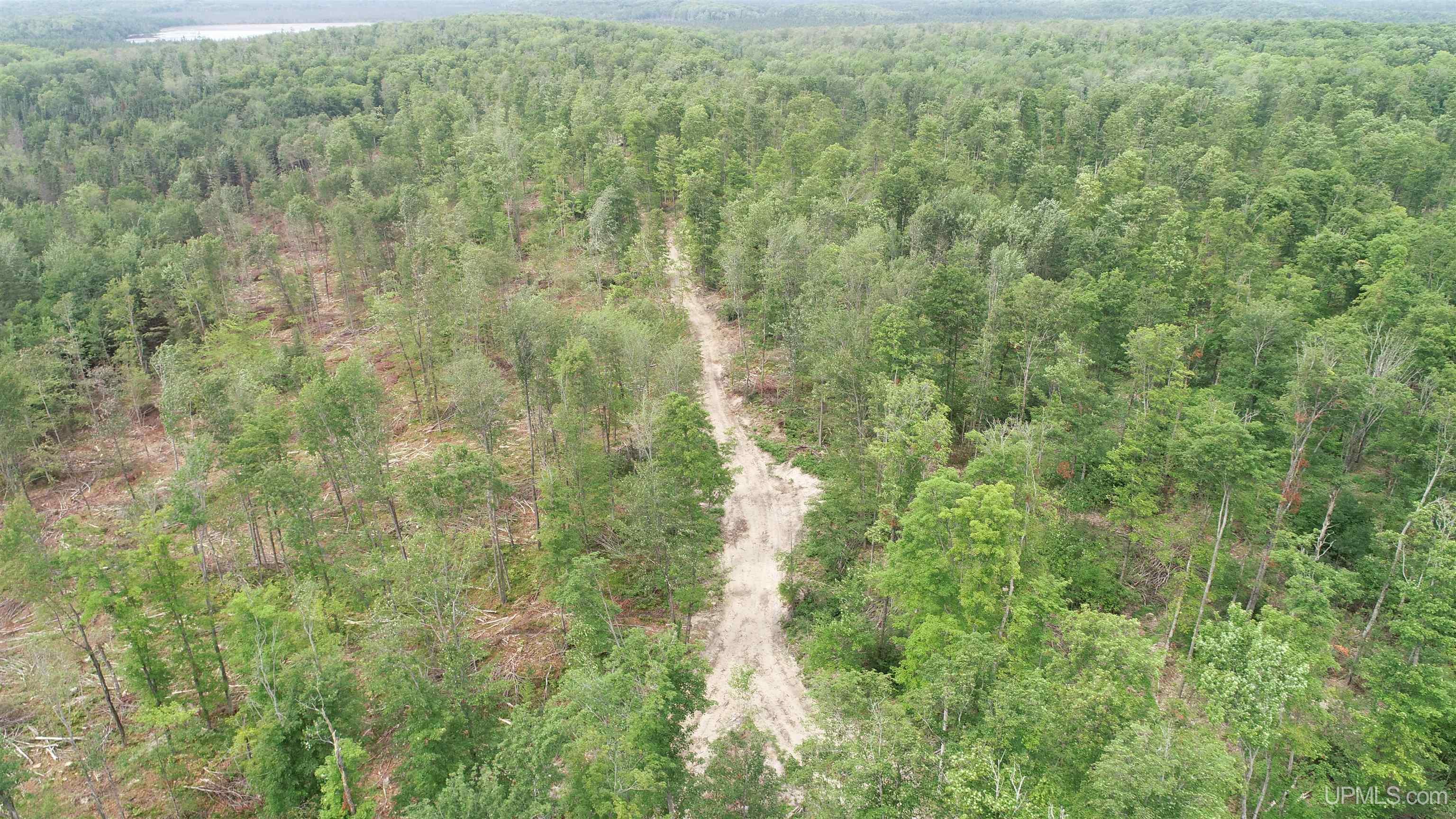 23 Camp 23 Road, Unit SOUTH PARCEL Germfask, MI 49836 - Photo 2 of 9