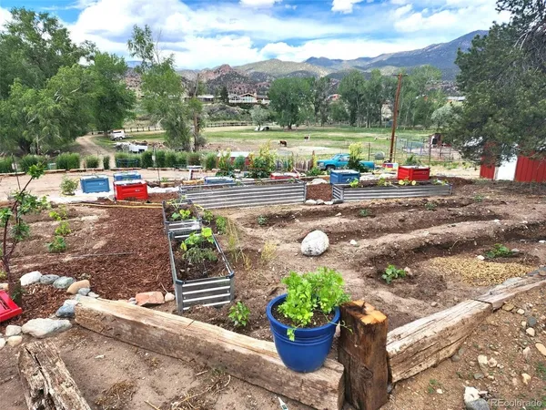 a black and white photo of a yard