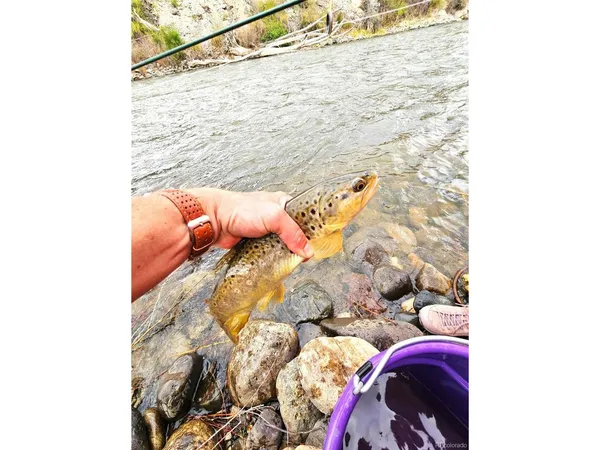 $2,415,000 | 9815 Highway 50, Howard, CO 81233