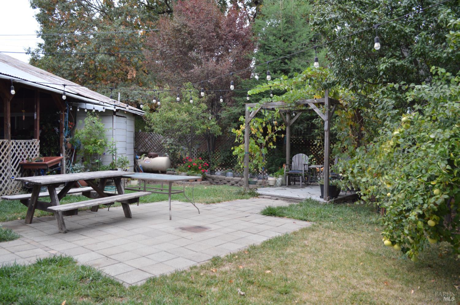 230 Shell Lane Willits, CA 95490 - Photo 15 of 32 a view of backyard with seating area and green space