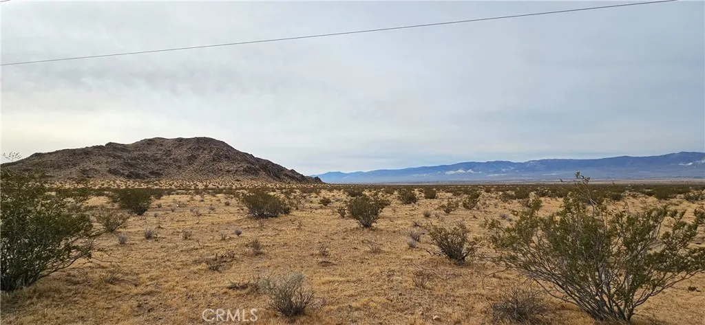 800 Powerline Road Lucerne Valley, CA 92356 - Photo 3 of 8