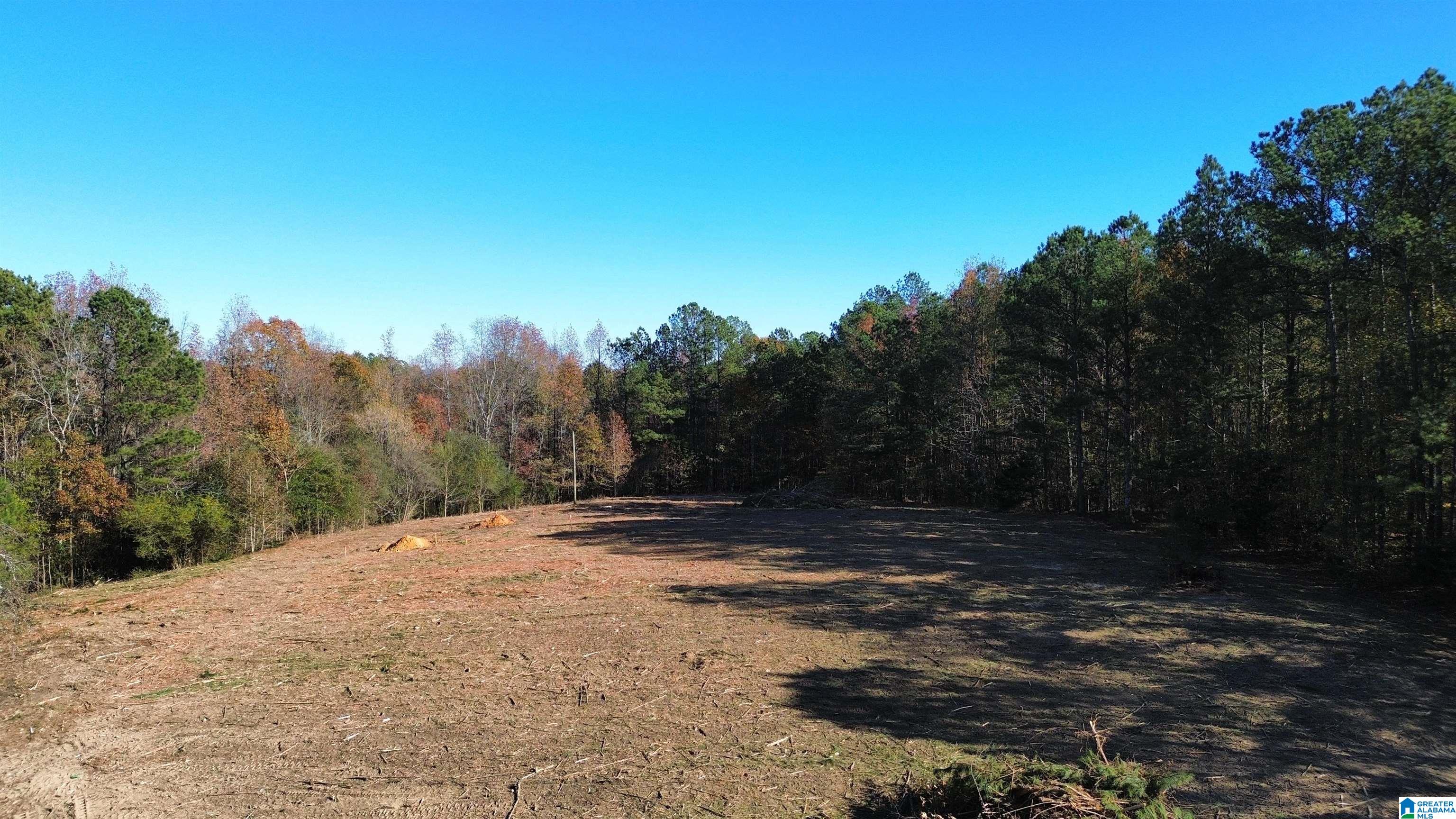 171 Water Tank Road, Unit 1 62 Hayden, AL 35079 - Photo 2 of 5
